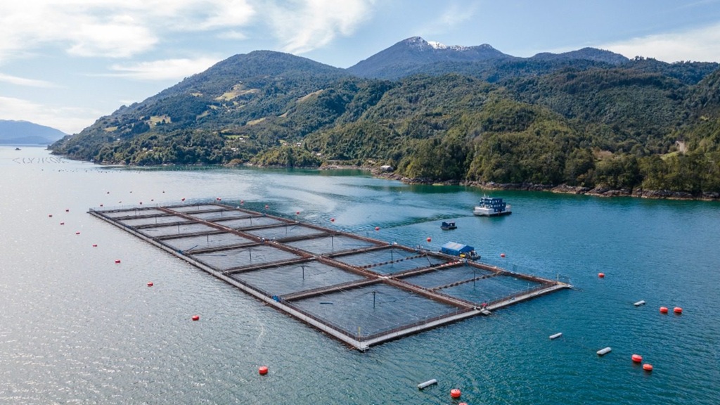 Plan de Reconstrucción: ¿Qué cambia para los proyectos de inversión en materia ambiental?