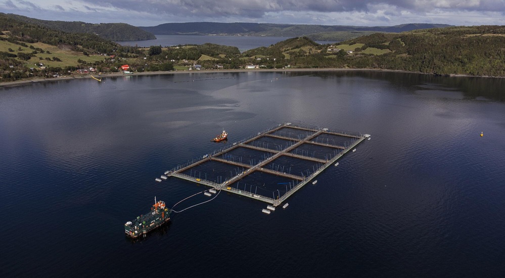 Cuando el Estado pasa a cubrir el riesgo ambiental privado