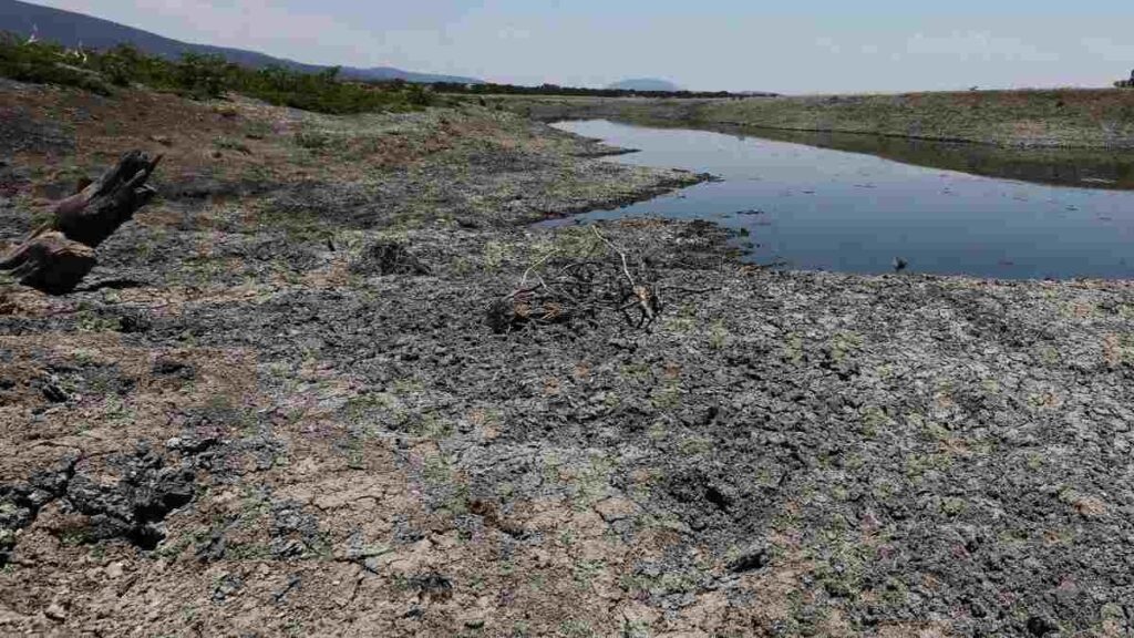 Opinión: “Atacama en la encrucijada: degradación territorial y ciencia como respuesta” por Dr. Rómulo Oses Pedraza y Dr. Roberto Contreras Díaz académicos e investigadores de la Universidad de Atacama (UDA) y el Centro Regional de Investigación y Desarrollo Sustentable de Atacama (CRIDESAT)