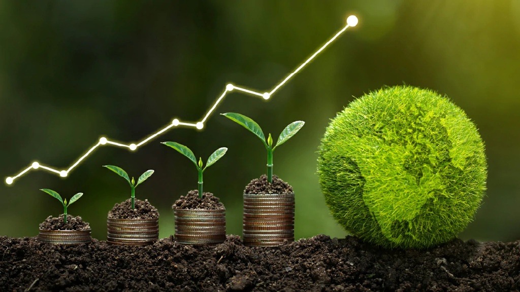 Opinión: “Naturaleza y economía del futuro: el valor de lo que nos sostiene” por Francisca Cortés Solari, Presidenta Ejecutiva Filantropía Cortés Solari