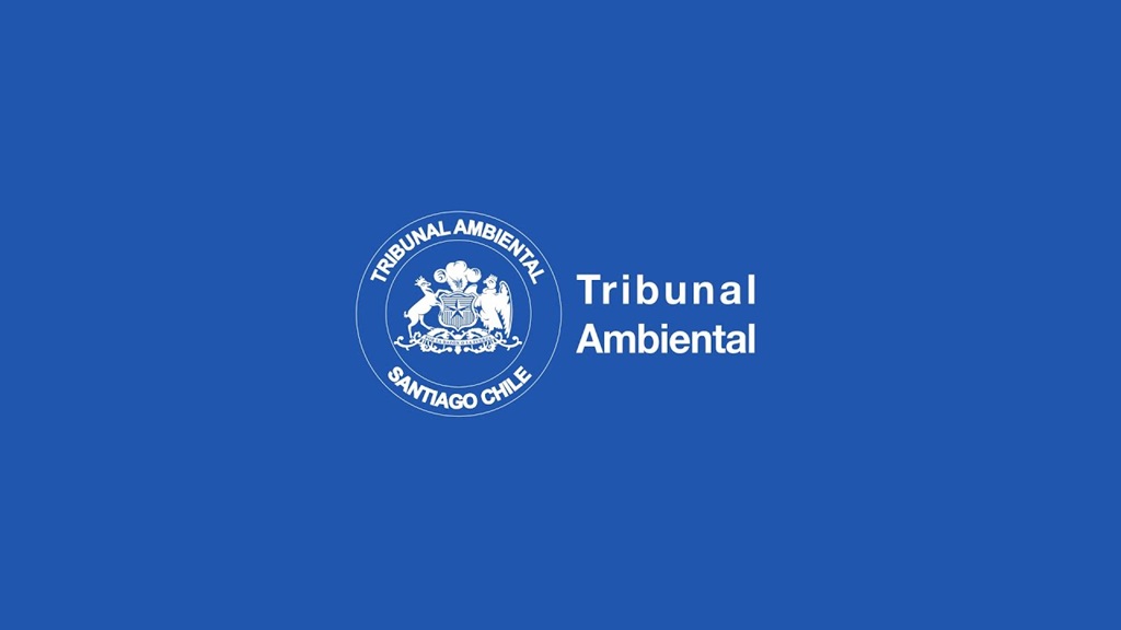 Gobierno evalúa reformar tribunales ambientales