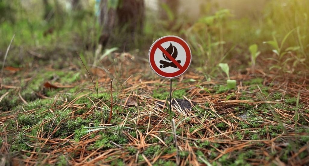 Chile sin Ley de Incendios luego de 3 años de tramitación: WWF llama a su aprobación inmediata